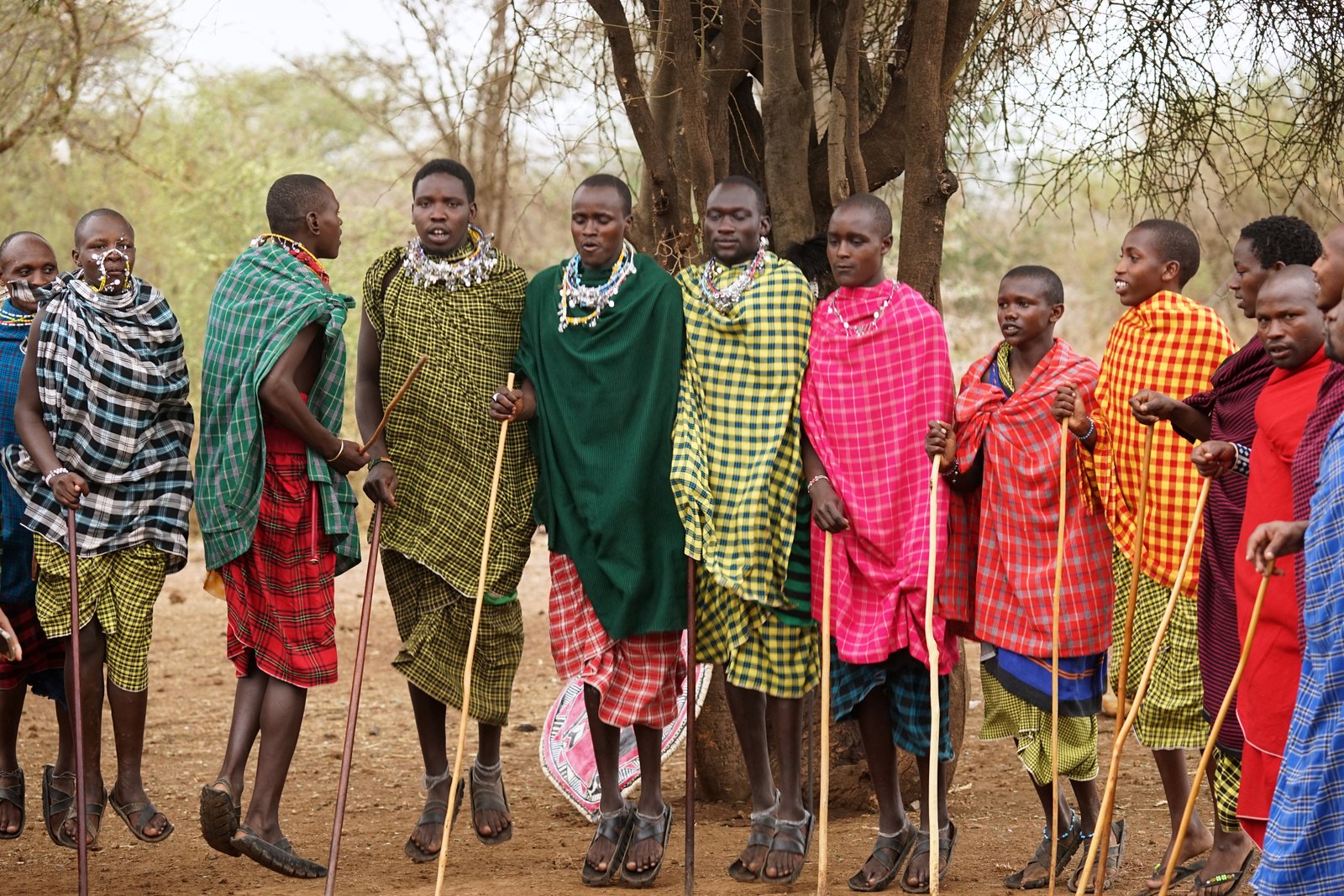 Maasai Cultural Immersion